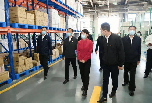 王莉霞強調 強化一對一精準服務，全面推動綜合保稅區高質量發展